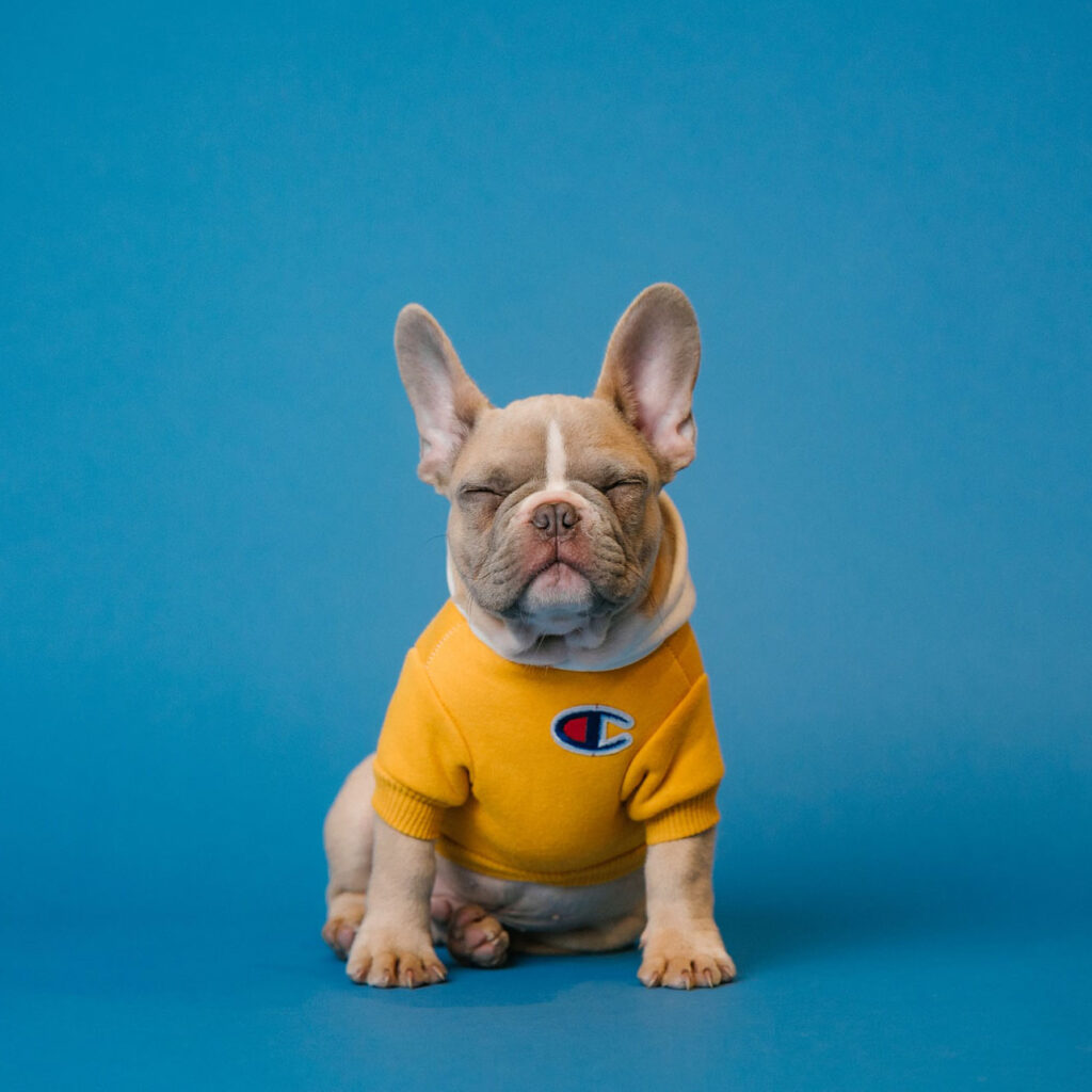 dev-site-solar-solutions.com